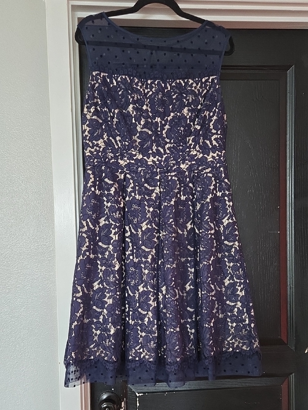 Eliza J Navy Lace Overlay Fit & Flare Dress Size 12